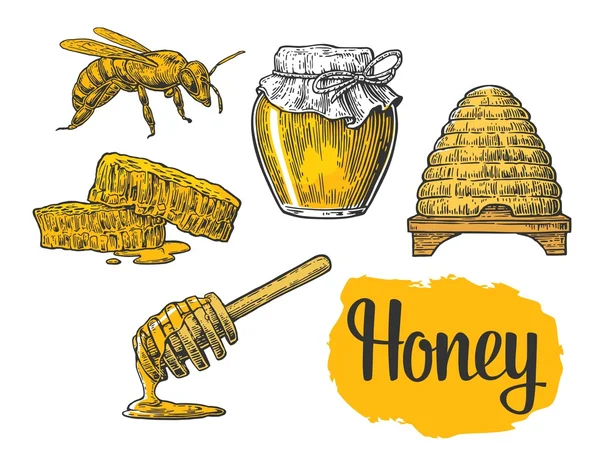 Honung set. Burkar av honung, bee, bikupa, klöver, honeycomb. Vektor vintage ingraverad illustration — Stock vektor