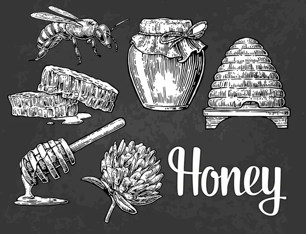 Mel pronto. Frascos de mel, abelha, colmeia, trevo, favo de mel. Vetor vintage gravada ilustração . —  Vetores de Stock