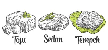 Vegan ve Vejetaryen yiyecekler ayarlayın. Tofu, Seitan, Tempe. Vektör renk vintage oyulmuş illüstrasyon izole beyaz arka plan üzerinde 