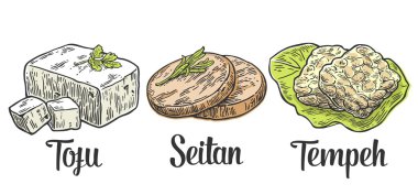 Vegan ve Vejetaryen yiyecekler ayarlayın. Tofu, Seitan, Tempe. Vektör renk vintage oyulmuş illüstrasyon izole beyaz arka plan üzerinde 