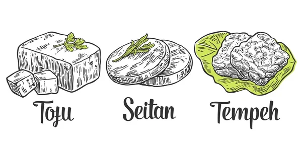 Stel veganistisch en vegetarische maaltijden. Tofu, Seitan, Tempeh. Kleur vintage gegraveerde vectorillustratie geïsoleerd op witte achtergrond — Stockvector