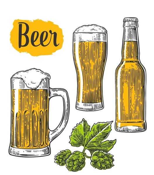 Ποτήρι μπύρας, κούπα, μπουκάλι, hop. Διάνυσμα vintage χαραγμένη εικόνα απομονωμένη σε λευκό φόντο — Διανυσματικό Αρχείο