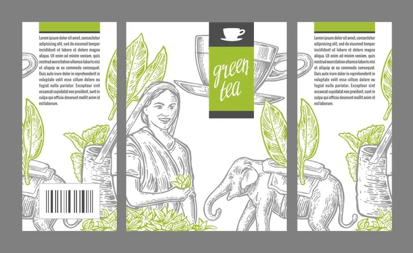 Mulher colhedora de chá, folhas de chá, xícara, elefante. Vetor gravado vintage isolado ilustração para etiqueta chá verde, embalagem, caixa . —  Vetores de Stock