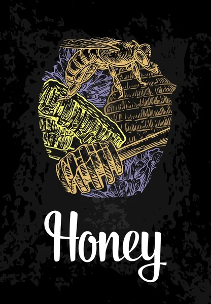Jars of honey, bee, hive, clover, honeycomb. Color hand drawn sketch on vintage black background. Vector engraved illustration — Stock vektor