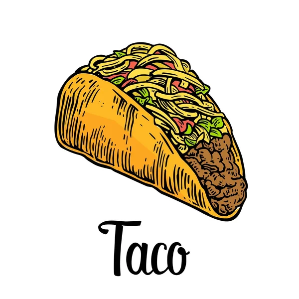 Τάκος - παραδοσιακό μεξικάνικο φαγητό. Εκλεκτής ποιότητας χαραγμένο εικονογράφηση φορέα για το μενού, αφίσα, web. Απομονωμένα σε λευκό φόντο. — Διανυσματικό Αρχείο