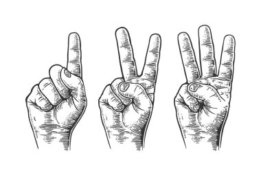 1'den 3'e kadar sayan erkek ellerinin jestleri kümesi. Vektör vintage oyma illüstrasyon beyaz arka plan üzerinde izole
