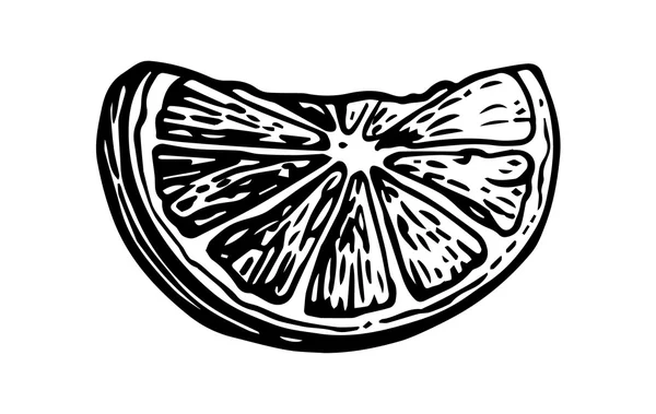 Fatia de limão. Vintage vetor gravura ilustração para etiqueta, cartaz, web — Vetor de Stock