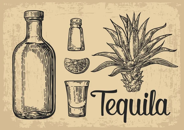 Glas en fles tequila. Cactus, zout en kalk Hand getrokken schets set alcoholische cocktails. Vectorillustratie. — Stockvector