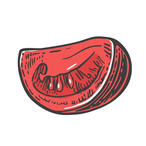 Una rebanada de tomate. Ilustración grabada vectorial aislada sobre fondo blanco — Archivo Imágenes Vectoriales