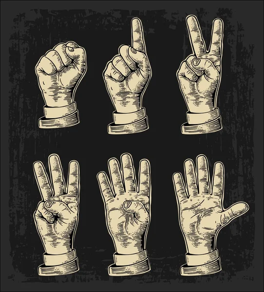 Conjunto de gestos de mãos contando de zero a cinco. Mão masculina. Vector vintage gravada ilustração isolada sobre fundo branco —  Vetores de Stock