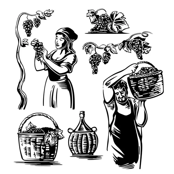 Hombres y mujeres cosechan las uvas en la viña. Ilustración de vector vintage en blanco y negro para etiqueta, póster, icono, diseño web . — Vector de stock