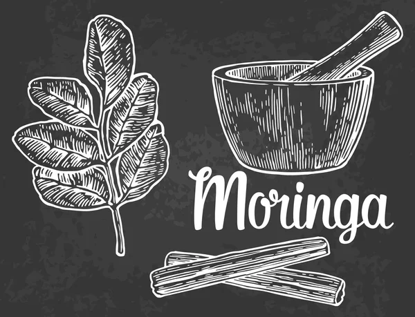 Hojas de moringa y vaina. Mortero y mortero. Vector vintage ilustración grabada . — Archivo Imágenes Vectoriales