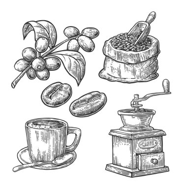 Kahve çekirdekleri ile çuval ahşap kepçe ve fasulye, Kupası, yaprak ve meyve ile şube ile. Elle çizilmiş kroki tarzı. Vintage vektör çizim için etiket, oyma web. Beyaz arka plan üzerinde izole