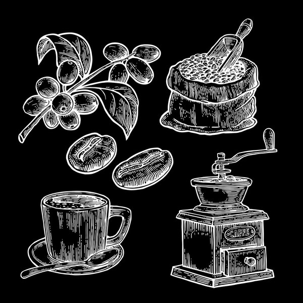 Sack with coffee beans with wooden scoop and beans, cup, branch with leaf and berry. Hand drawn sketch style. Vintage vector engraving illustration for label, web.  Isolated on black background