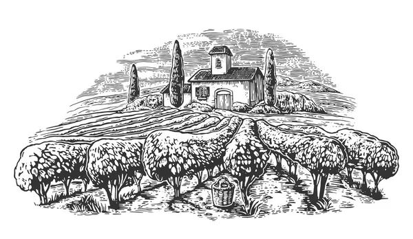 Paysage rural avec villa, champs de vignes et collines. Illustration vectorielle vintage dessinée en noir et blanc pour étiquette, affiche — Image vectorielle