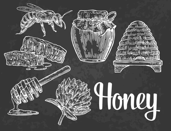 Honung set. Burkar av honung, bee, bikupa, klöver, honeycomb. Vektor vintage ingraverad illustration. — Stock vektor