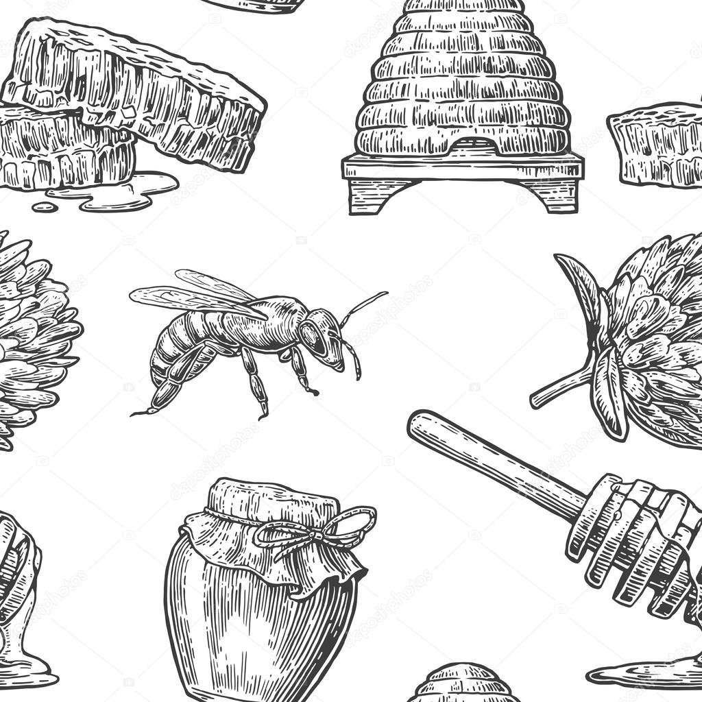 hand drawn honey comb. propolis honeycomb sketch. hand drawn honey comb.  Black and white image bee wax. Bee honey and propolis doodle vector. Stock  Vector