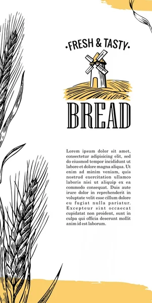 Mulino, campo di grano, orecchie. Illustrazione dell'incisione — Vettoriale Stock