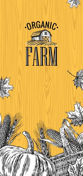 Biologische boerderij met bladeren, pompoen, maïskolf, oor tarwe op hout achtergrond. Vintage vector afbeelding voor logo, etiket, poster presentaties gravure — Stockvector