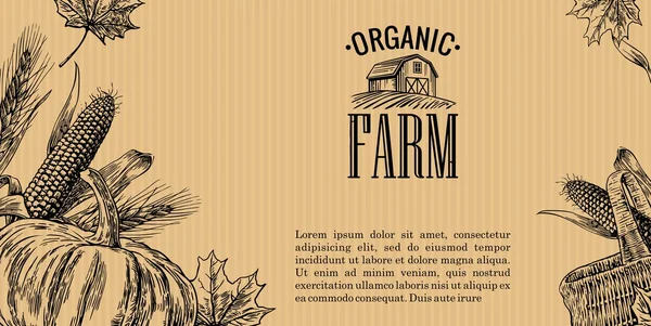 Ferme biologique avec feuilles, citrouille, épi de maïs, épi de blé sur fond brun. Illustration de gravure vectorielle vintage pour logotype, étiquette, affiche, présentations — Image vectorielle