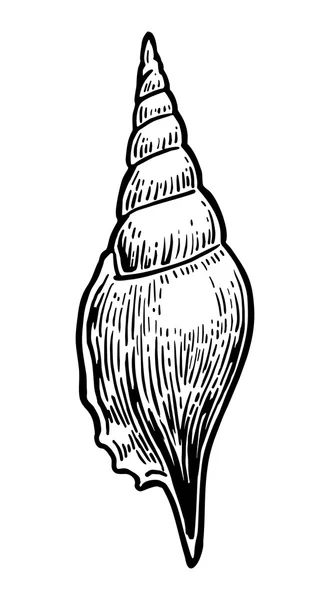 海贝壳。黑雕刻复古插画。白色背景上孤立. — 图库矢量图片