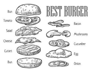 Burger malzemeleri. Poster, menü, web, afiş, bilgi grafiği için vektör vintage gravür illüstrasyon