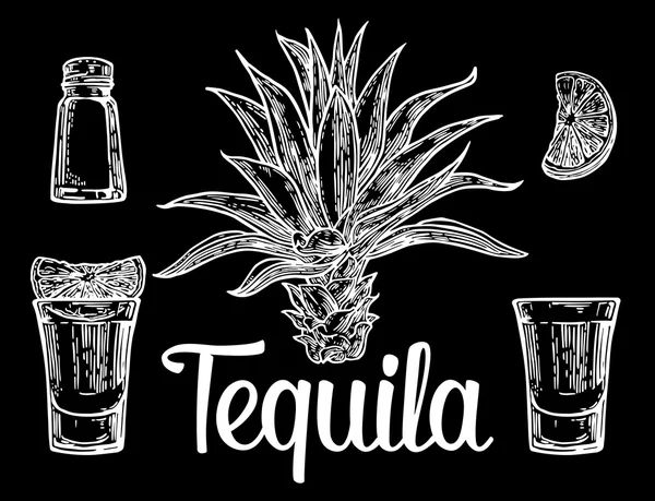 Vidrio, botella de tequila, cactus, sal, lima — Vector de stock