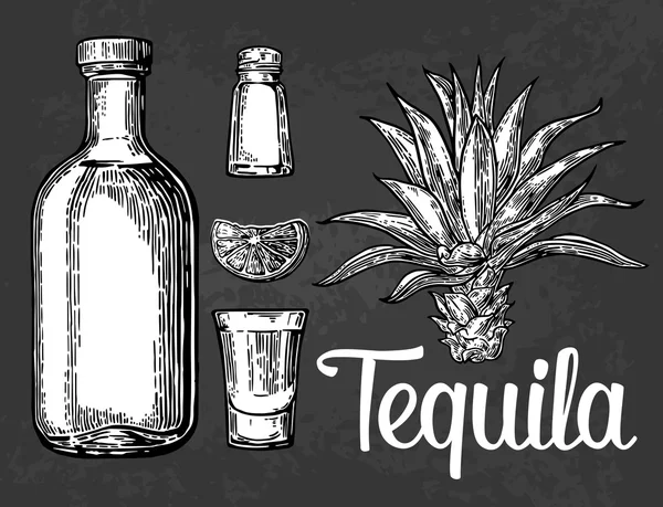 Vidrio, botella de tequila, cactus, sal, lima — Vector de stock