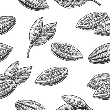 Yaprakları ve kakao çekirdekleri meyve ile Seamless Modeli.