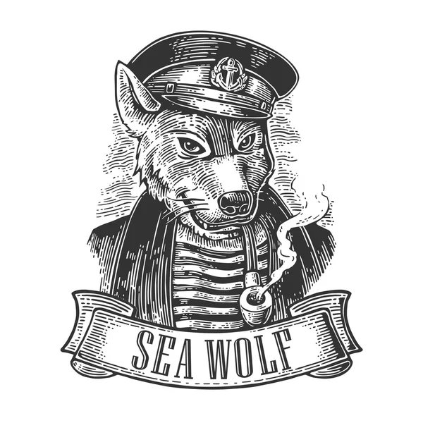 Seewolf mit Pfeife und Band. — Stockvektor