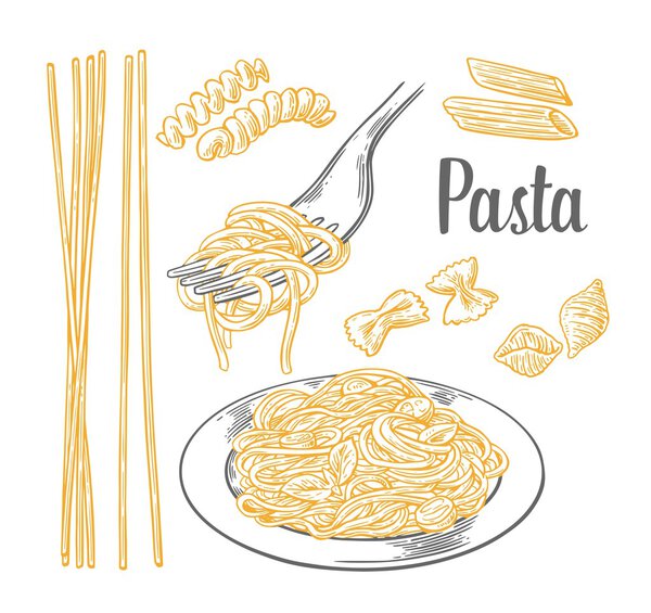Set pasta - farfalle, conchiglie, penne, fusilli and spaghetti on fork.