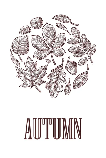 Poster Autunb verkoop met set blad en eikel. Vintage gegraveerde vectorillustratie. — Stockvector