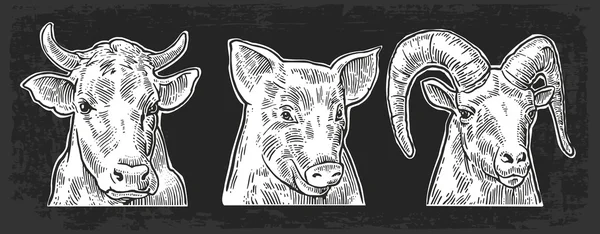 家畜アイコンセット。暗い背景に隔離された豚、牛、ヤギの頭. — ストックベクタ