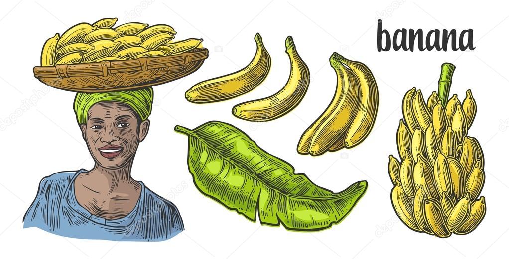 Two single and bunches of fresh banana with leaf. African woman carries a basket with fruits on her head.