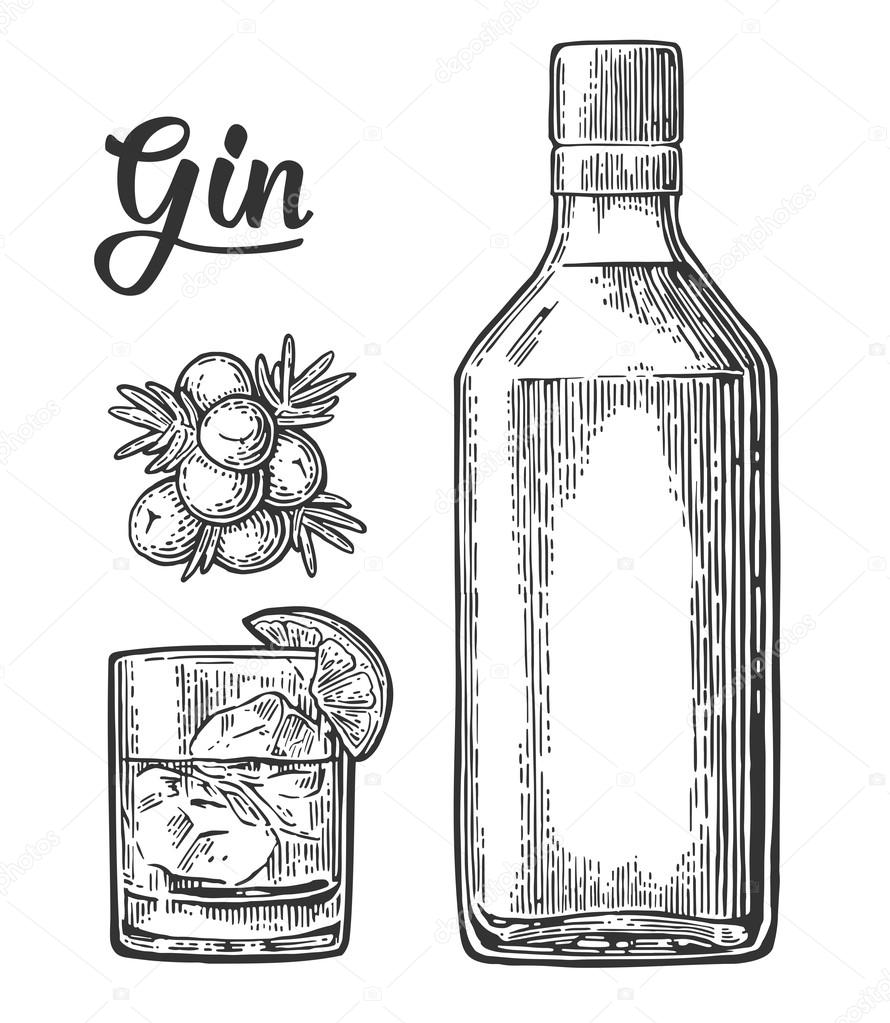 Glass and bottle of gin and branch of Juniper with berries