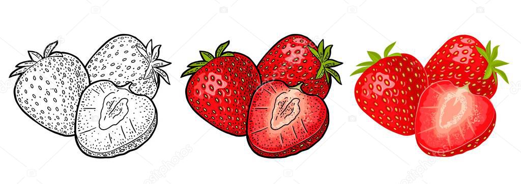 Whole and slice strawberry. Vector color and black vintage engraving and flat icon. Isolated on white background. Hand drawn design element for label and poster