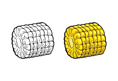 Yapraklardan soyulmuş olgun mısır koçanı. Vektör rengi ve siyah vintage gravür. Beyaz arkaplanda izole.
