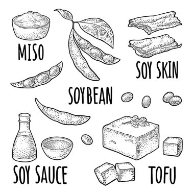 Soya yemeği seti. Miso, tofu derisi, soya fasulyesi, şişede sos ve kase. Menü, poster, etiket için vektör rengi gravür ve el yazısı harfleri. Beyaz arkaplanda izole
