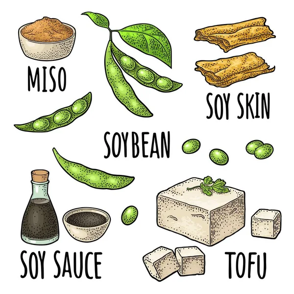 Soya Yemeği Seti Miso Tofu Derisi Soya Fasulyesi Şişede Sos — Stok Vektör