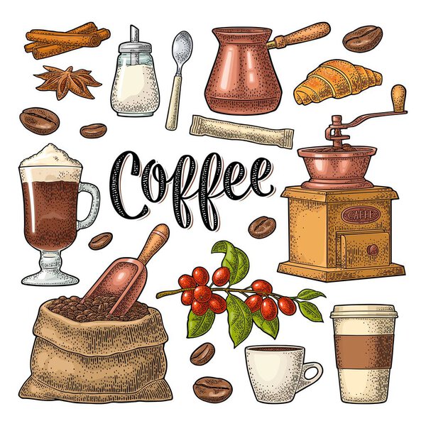 Set coffee. Beans, wooden scoop, sack, grinder, sugar, branch, spoon, glass latte with whipped cream. Vintage color vector engraving isolated on white. Calligraphic handwriting lettering