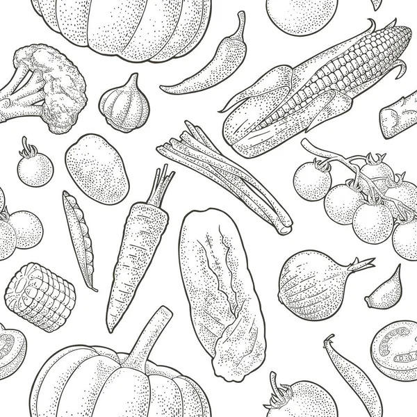 无缝类蔬菜 花椰菜 马铃薯 胡萝卜 茄子和番茄在白色上被分离出来 用于海报菜单的矢量黑色老式雕刻插图 — 图库矢量图片