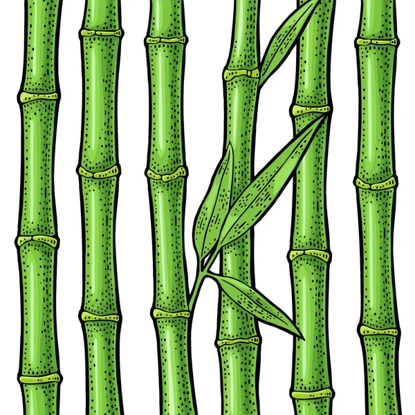 Árboles Bambú Con Hojas Elemento Dibujado Mano Ilustración Grabado Vectorial — Vector de stock
