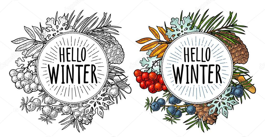Circle shape with pine cone, fir branch, rowan, snowflake for Merry Christmas and New Year. Hello winter lettering with salute. Vector vintage color engraving on white