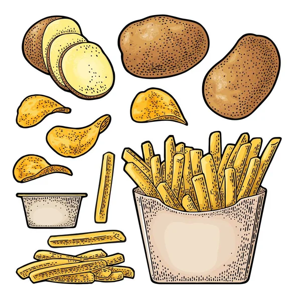 Patates Kızartması Karton Kutuda Patates Kızartması Cips Beyaz Arka Planda — Stok Vektör