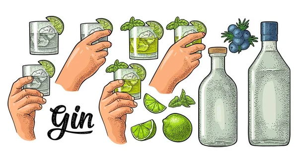 Glass Bottle Branch Juniper Berries Hands Holding Glass Cocktail Basil — Stock Vector