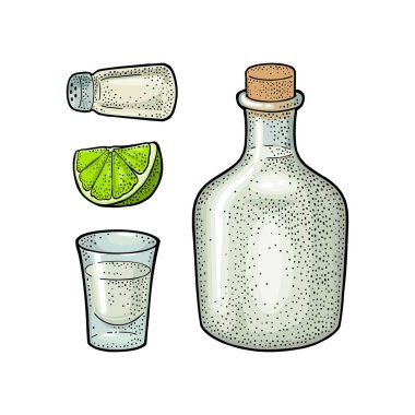 Bir bardak ve bir şişe tekila. Tuz ve limon. Elle çizilmiş alkollü kokteyl seti. Etiket ve poster için klasik renk vektörü çizimi. Beyaz arkaplanda izole