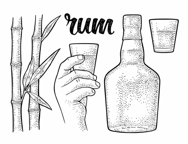 ガラスとサトウキビとラム酒のボトル ヴィンテージベクトルブラック彫刻イラスト 白い背景に隔離されている ラベル ポスター ウェブ パーティーへの招待のための手描きのデザイン要素 — ストックベクタ