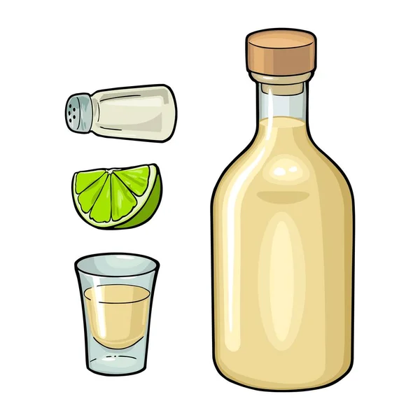 Verre Bouteille Sel Citron Vert Ensemble Cocktails Dessinés Main Avec — Image vectorielle