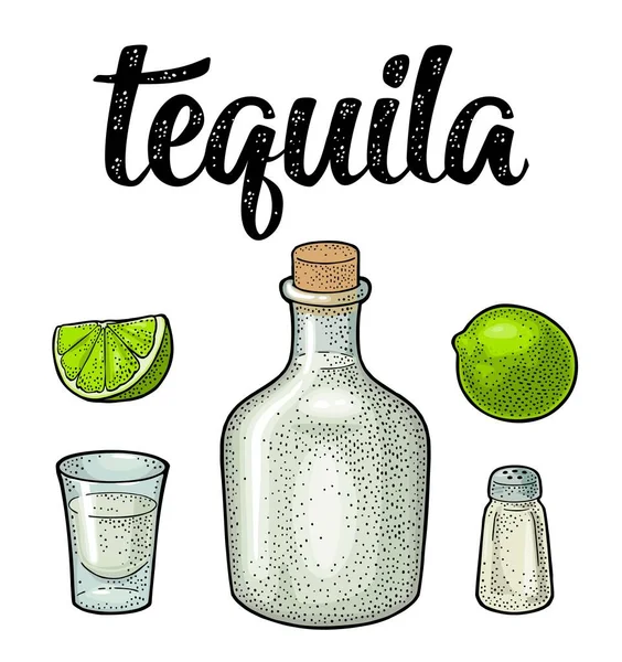 Verre Bouteille Tequila Agave Bleu Cactus Sel Citron Vert Esquisse — Image vectorielle