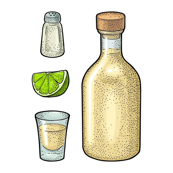 Verre Bouteille Tequila Sel Citron Vert Esquisse Dessinée Main Ensemble — Image vectorielle